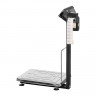 Весы товарные с печатью этикеток TB-S-200.2-RP3 артикул 500869                  