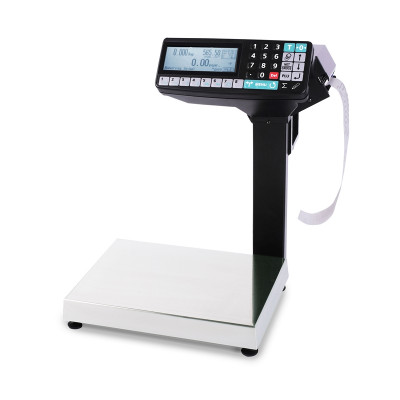 Весы с печатью этикеток МК-6.2-RP10
